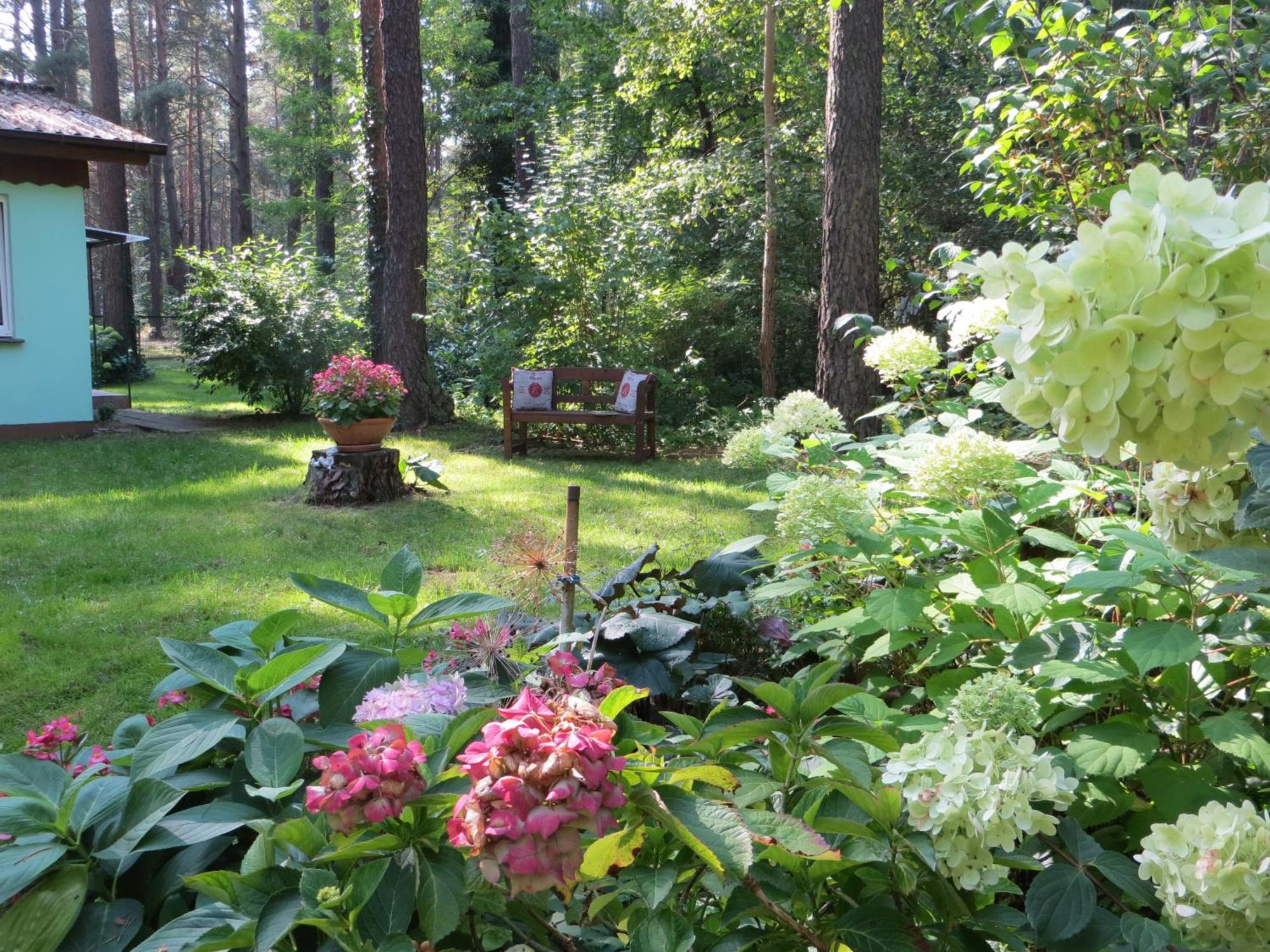 Kastavengrund - Ferienhaeuser Mit Kamin Ліхен Екстер'єр фото
